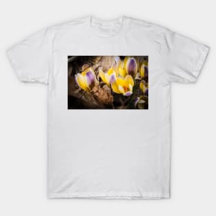 Spring Crocus 1 T-Shirt